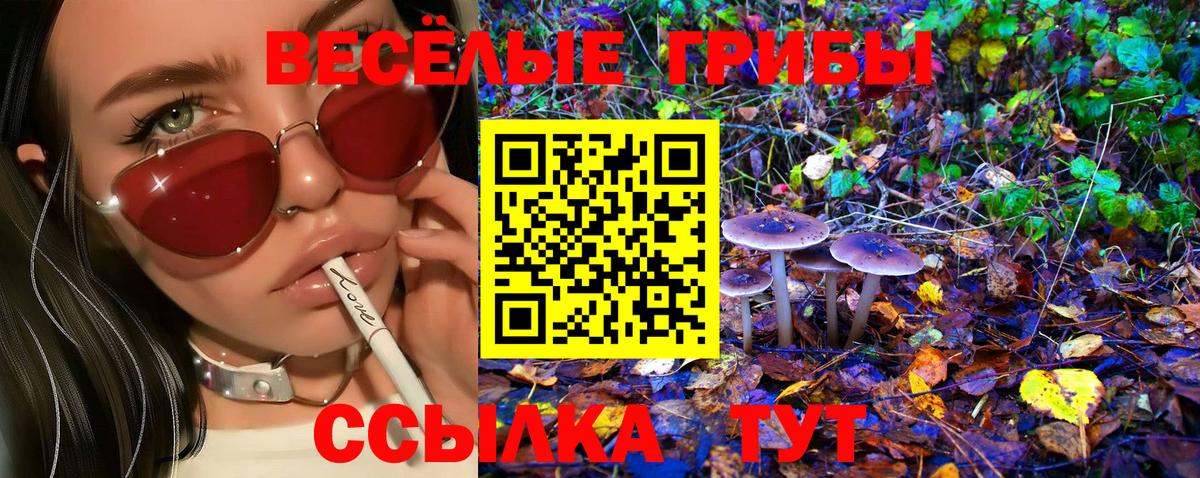 Менделеевск  Галлюциногенные грибы Magic Shrooms  где продают   Галлюциногенные грибы ЛСД  Вход с VPN 